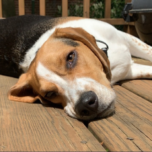 Meet your Posher, Kelly - Picture 1 of 1